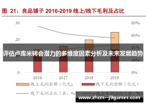 评估卢库米转会潜力的多维度因素分析及未来发展趋势